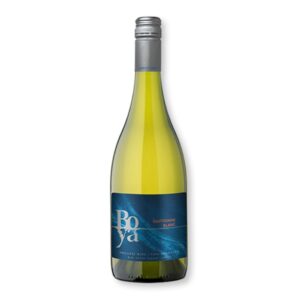 Garcés Silva Boya  - Sauvignon Blanc