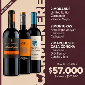 Box Premium Carmenere