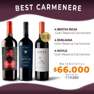 Best Carmenere Box 2